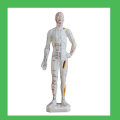 11" Human Acupuncture Body Points Model,Chinese human acupuncture model